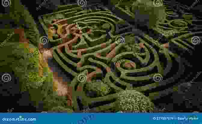 Complex, Winding Labyrinth With Intricate Patterns And Paths Leading In Different Directions Rooms Of The Mind: Poems
