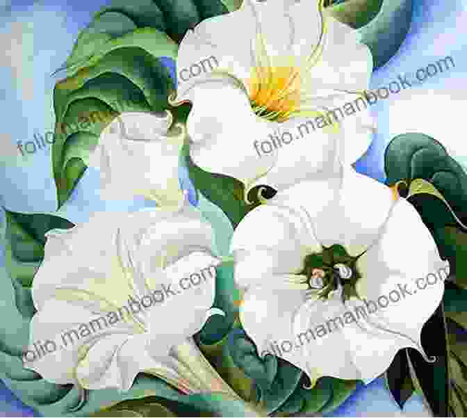 Jimson Weed By Georgia O'Keeffe Being Jane Doe: The Mind Of A Woman Through The Hands Of A Man
