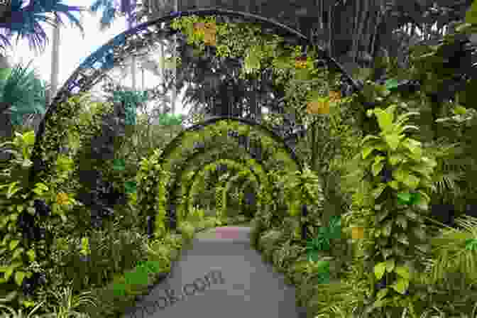 Lush Greenery Of The Singapore Botanic Gardens By Noah William Smith Hues Of Singapore Noah William Smith