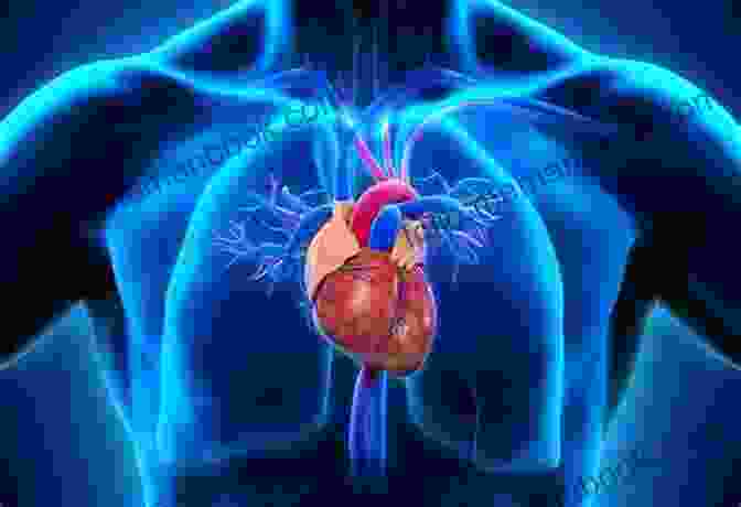 The Human Heart Is Not On The Left Side Of The Body. It Is Located In The Center Of The Chest. Why Do Astronauts Float?: 50 Misconceptions Even Clever People Have About Basic Science